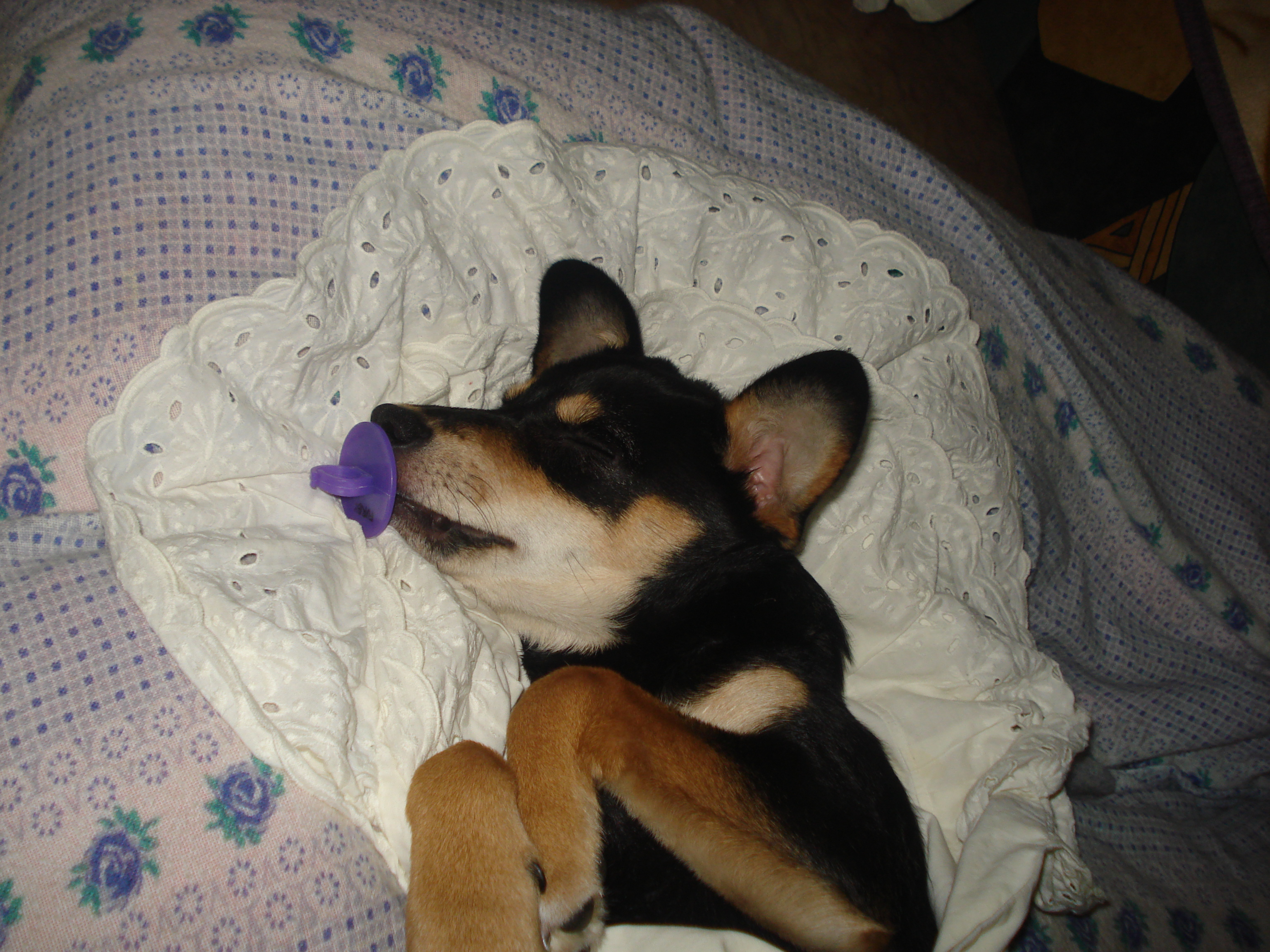 DSC04412.JPG