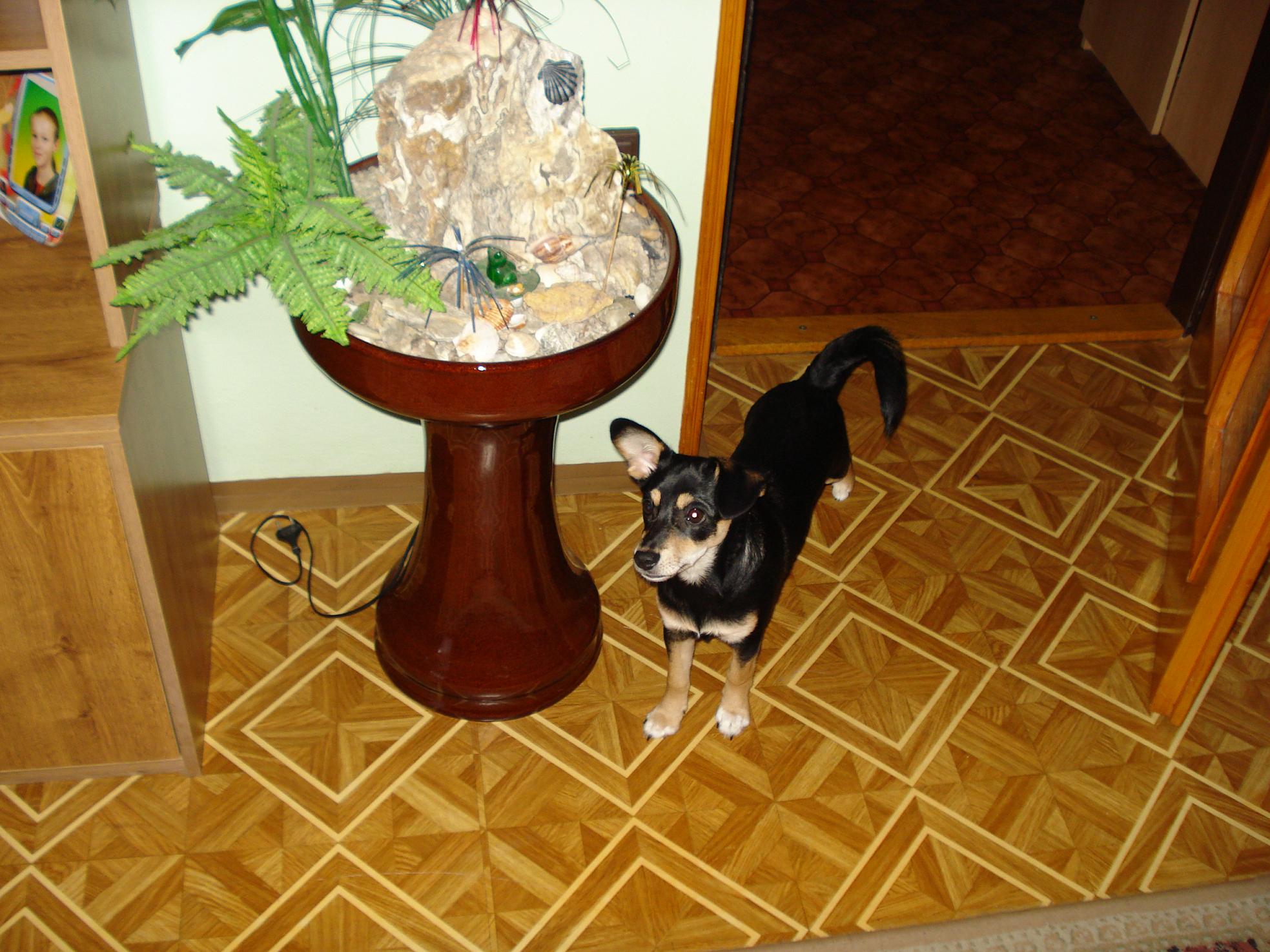 DSC04419.JPG