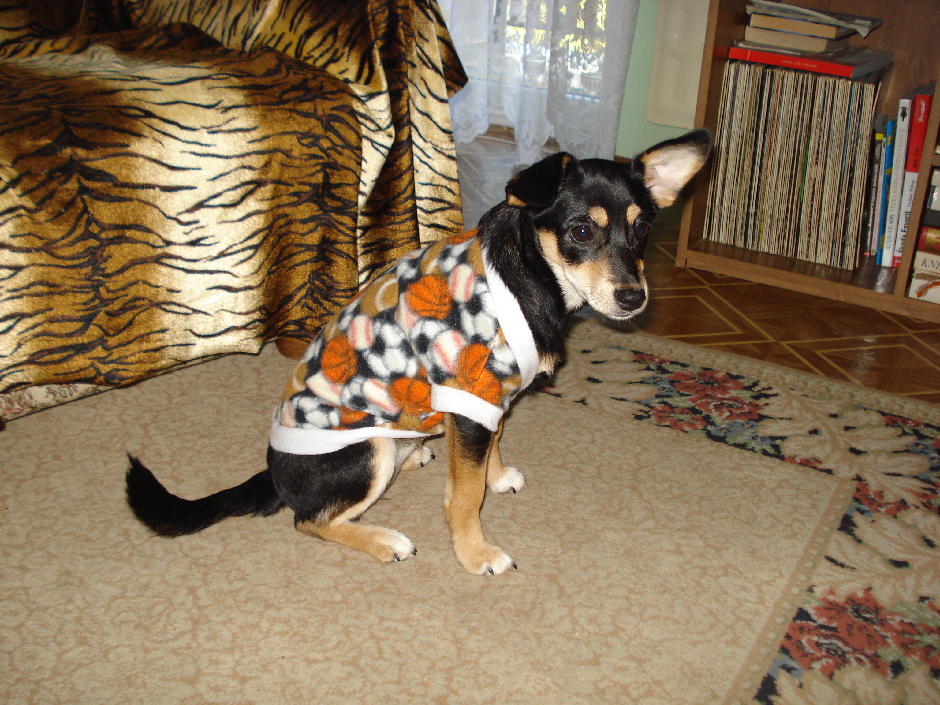 DSC04426.JPG