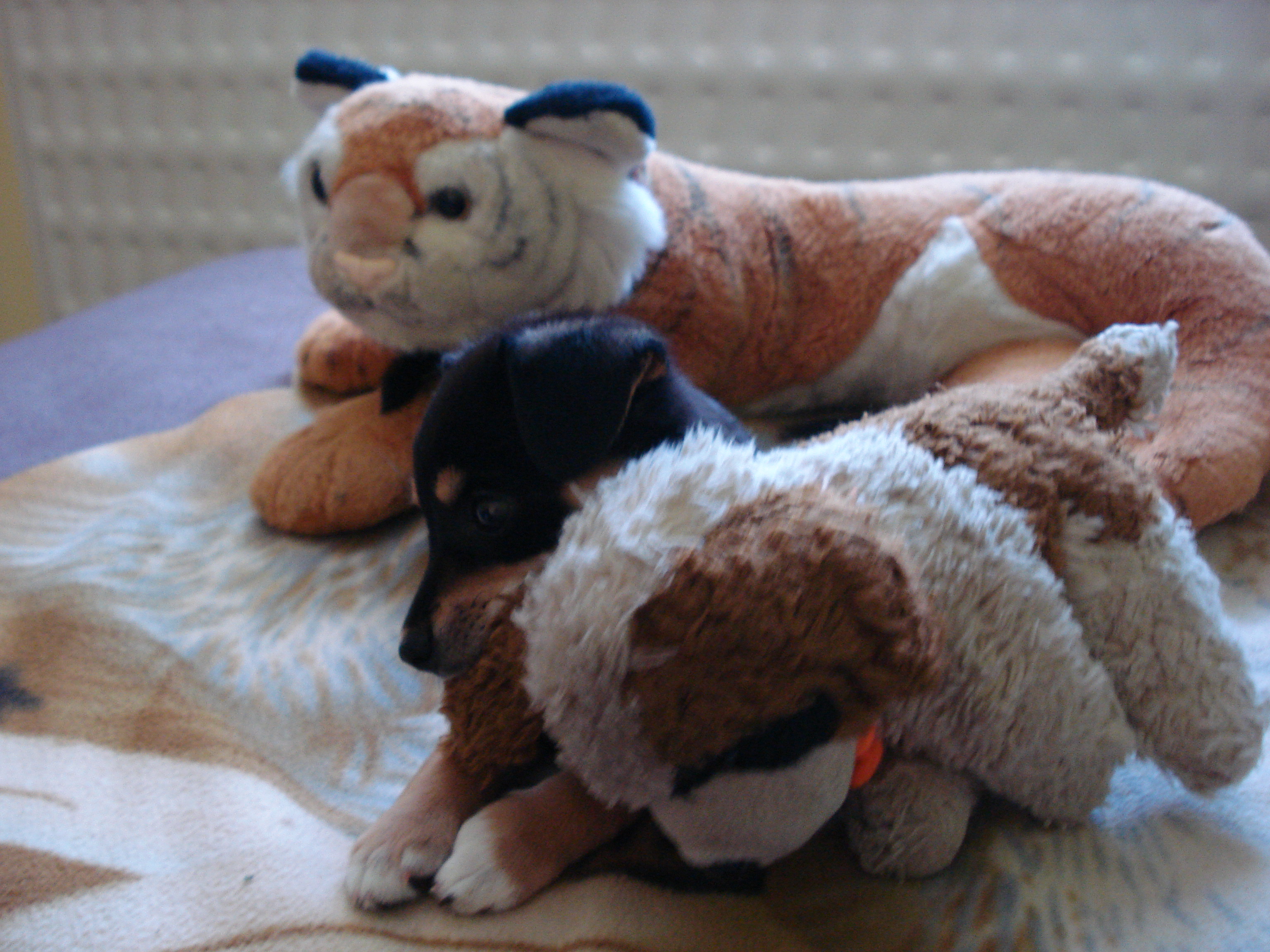 DSC04255.JPG